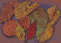 Colourful leaves